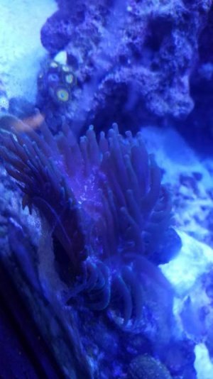 20200520_163250 (1).jpg