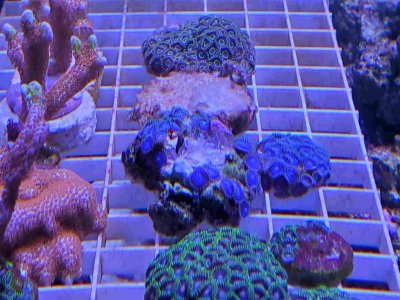 20201218_143118_compress2.jpg