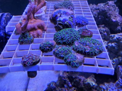 20201218_143109_compress34.jpg
