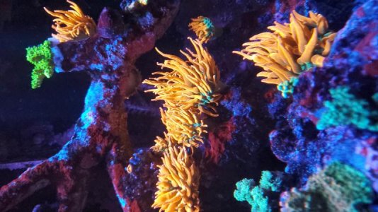 20201230_204716.jpg
