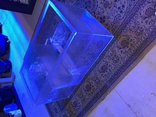 Sump.jpeg