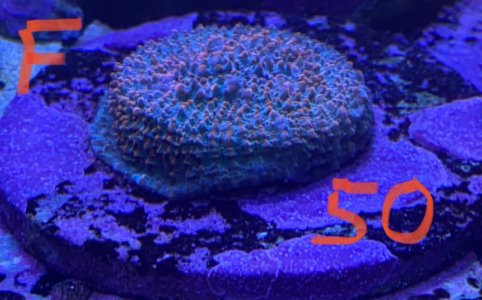 8CC6E91D-5C96-4F73-822E-EE3E95DDABE6.jpg