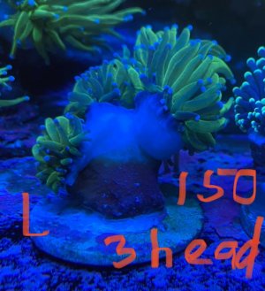 23C236E0-E068-4EE5-83D5-0BB4812CF985.jpg