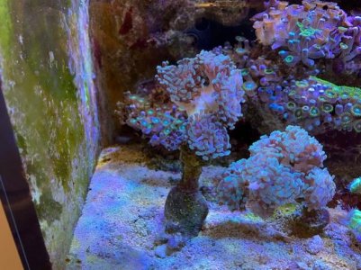 D7784134-6527-425B-A05A-57D3CC79E0C0.jpg