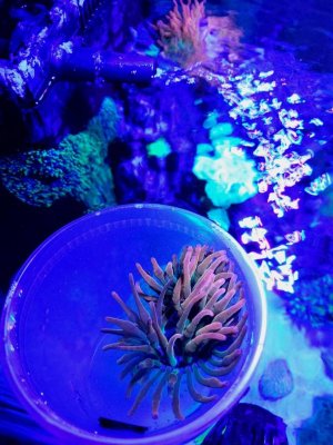 20210124_195646.jpg