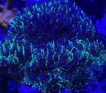 8B8F8E19-FB50-4CC0-BA91-FF55D9AAB7C7.jpg