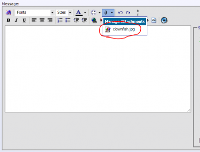 step5.PNG