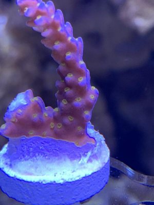 E1EC3367-B74E-44E6-8F80-083787DE48C7.jpg