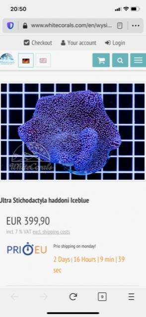 Ultra Ice Blue from Whitecorals.jpg