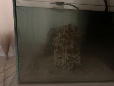 Tank Cloudy  Pic 3.jpg