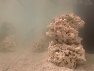 Tank Cloudy  Pic 4.jpg