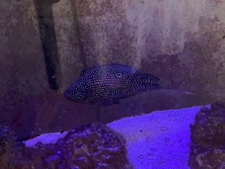 IMG_2838.jpg
