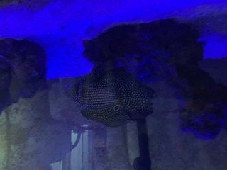 IMG_2836.jpg