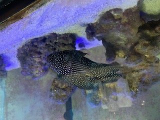 IMG_2835.jpg