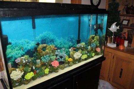 60 Gallon Setup Completed 6-23-20.jpg