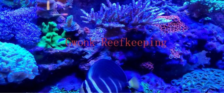 gwonkbanner1.jpg