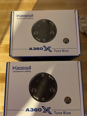 Kessil2.jpg