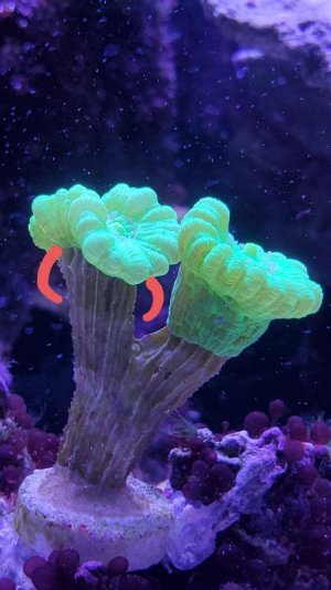 20210322_144555.jpg
