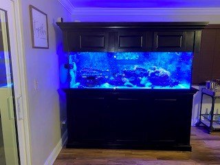 240 gallon tank.jpg