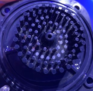 1C636E62-211E-41E4-B228-34C95C1B1CFB.jpg