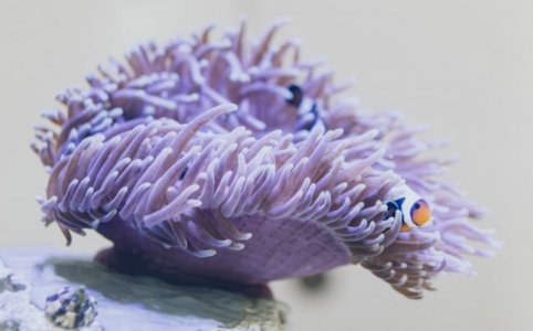 Screen Shot 2021-04-19 at 11.11.33 AM.jpg