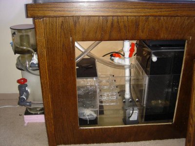 Picture 014.jpg