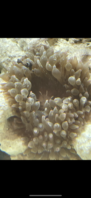photo412029.png