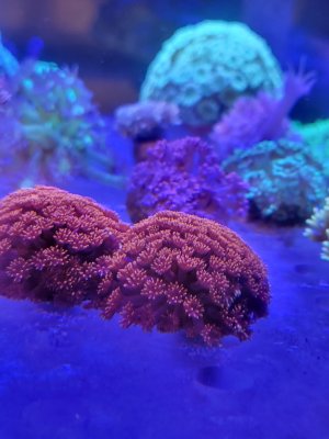 20220304_163332.jpg