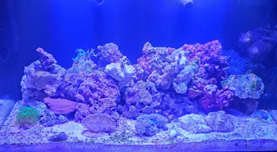 20220413_172832.jpg