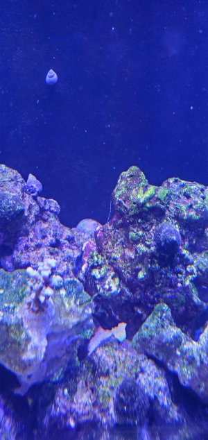 20220418_124404.jpg