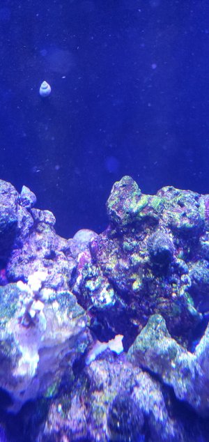 20220418_124407.jpg