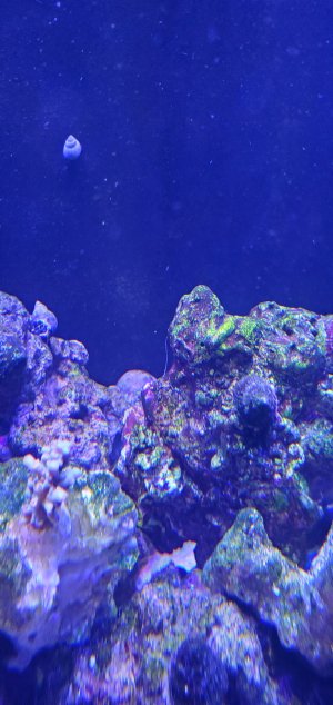 20220418_124408.jpg