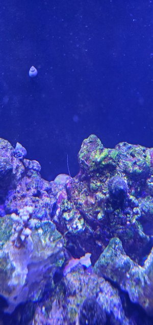 20220418_124409.jpg