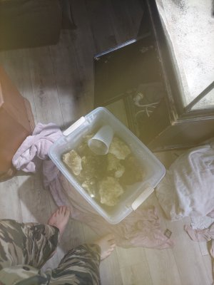 20220504_070906.jpg