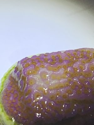 5C221E46-F135-4065-8804-C68D7645F7BC.jpeg