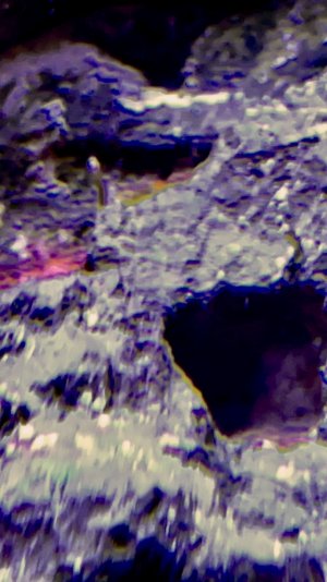 6EA7024A-9E10-4FA8-B467-B01E06F53300.jpeg