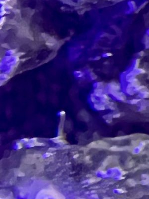 BA45D9AC-5003-4741-8E77-C683AF8FFF84.jpeg