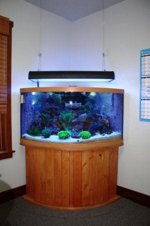 92 Corner Reef.jpg