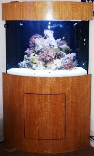 50gal.jpg