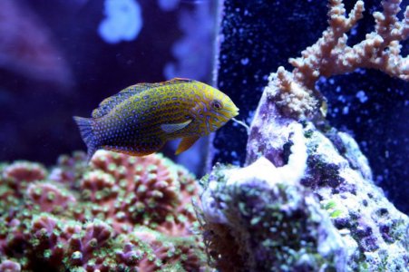 IMG_5695.jpg