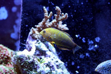 IMG_5756.jpg