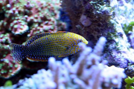 IMG_5841.jpg