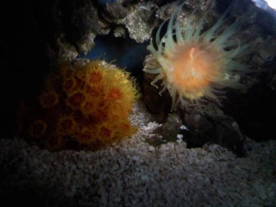 1204092222a.jpg