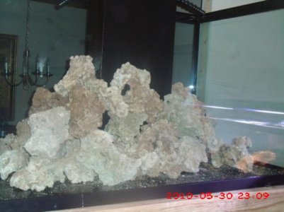 in progress fish tank 006.jpg