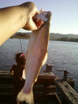 Trout.jpg