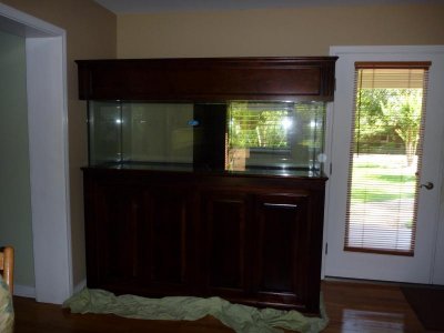IMG_0009.jpg