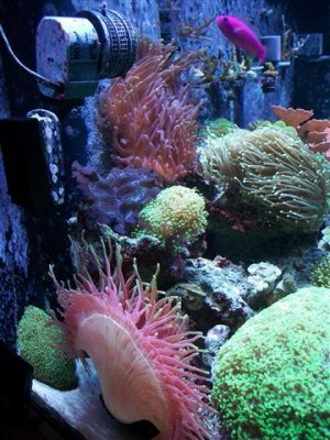 100_0052 (Small).JPG