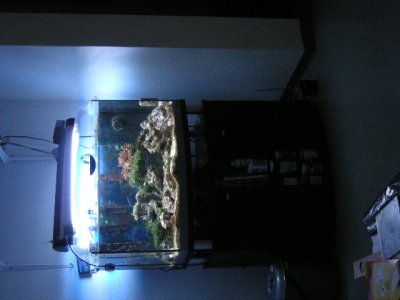 Aquarium 006.jpg