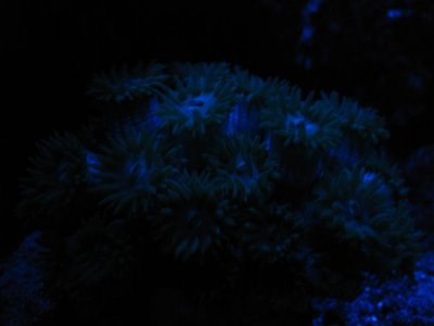 IMG_2157.jpg
