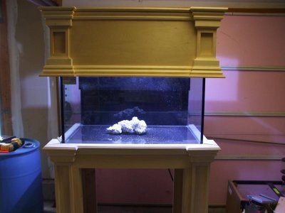 DSCF2420.jpg